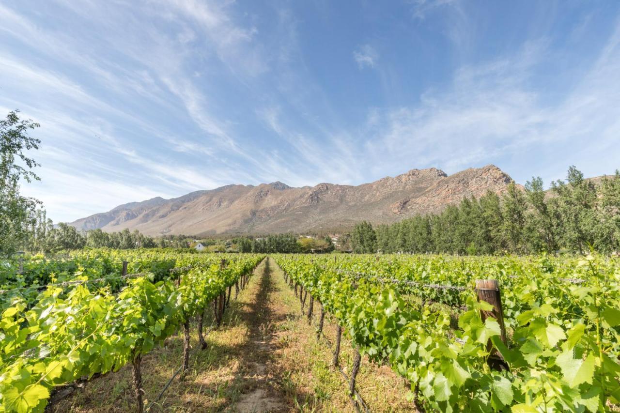 Hotel Klein Nektar Wine & Olive Estate à Montagu Extérieur photo